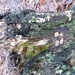 12-12-2010 Marcinelle (5)