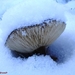 2010_12_03 Romedenne 02
