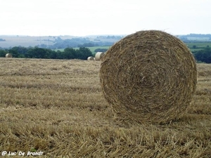 2010_08_22 Silenrieux 22