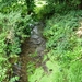 2010_08_22 Silenrieux 29