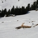 ski-2008 054