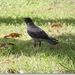 sized_IMG_9651
