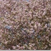 sized_IMG_9728