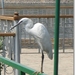 sized_IMG_6269