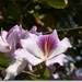 sized_IMG_9806
