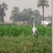 sized_IMG_0164