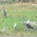 sized_IMG_0442