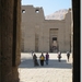 sized_IMG_6586