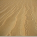 sized_IMG_6846