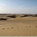sized_vergIMG_1060