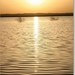 sized_IMG_0563