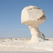 sized_vergIMG_0331