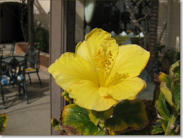 sized_IMG_1303