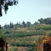5g Berg der Zaligsprekingen, gezien vanuit Kafarnaüm