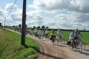 2010-08-03 Medioren Wortel (1)