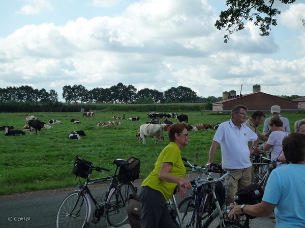 2010-08-03 Medioren Wortel (10)