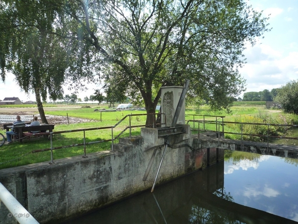 2010-08-03 Medioren Wortel (18)