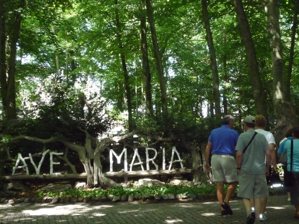 2010-08-03 Medioren Wortel (26)