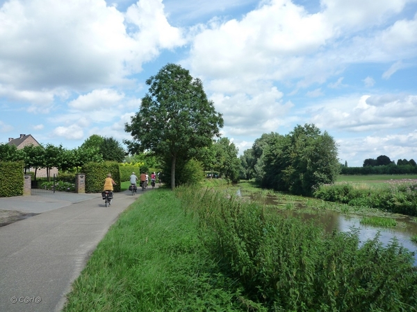 2010-08-03 Medioren Wortel (35)