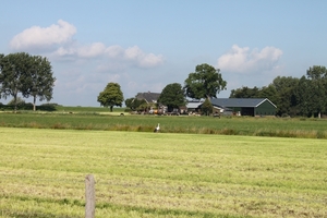 Een reiger in de verte