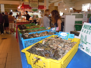 oesters van R�