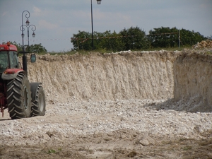 champagne -druif groeit op kalk