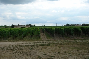 Chateau La Rose Côtes Rol