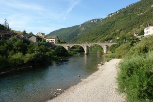 DSC05987