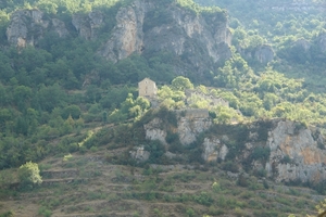 DSC05992