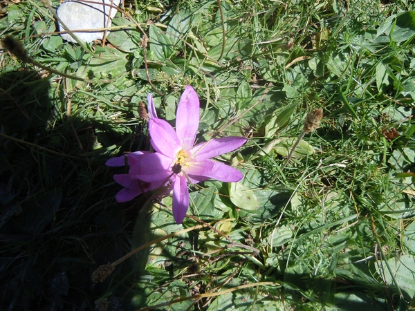 DSCN0581