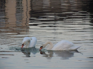 frankrijk 2010 deel twee 153