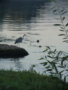 frankrijk 2010 deel twee 169