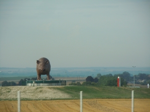 het everzwijn van Champagne-Ardenne