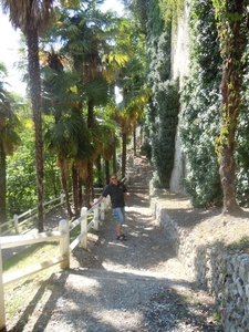 wandelpad naar de boulevard