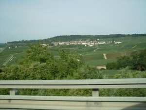 wijnranken zover je kan kijken