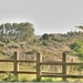 Natuurgebied de Doornpanne in Oostduinkerke