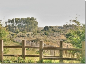 Natuurgebied de Doornpanne in Oostduinkerke