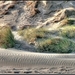 Op het strand van Oostduinkerke