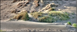 Op het strand van Oostduinkerke