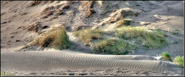 Op het strand van Oostduinkerke