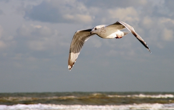 Oost-Duinkerke 075