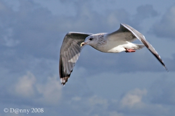 Oost-Duinkerke 076