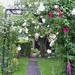 Doorgang met clematis en rozen