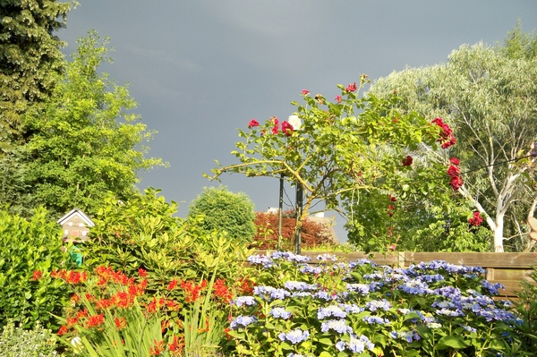 Bloemen