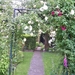 tuin 18-06-2010 007