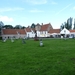lissewege240810P1030400