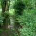 Afbeelding 006 (Medium)