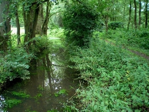 Afbeelding 006 (Medium)