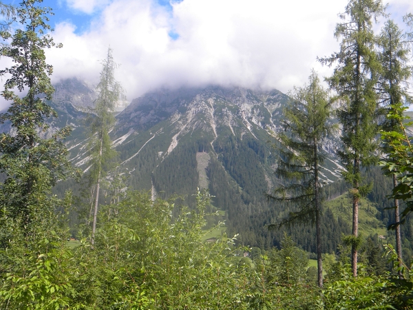 OOSTENRIJK 2010009