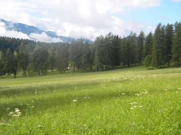 OOSTENRIJK 2010017
